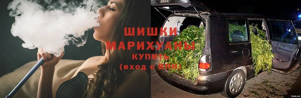 гидропоника Дмитриев
