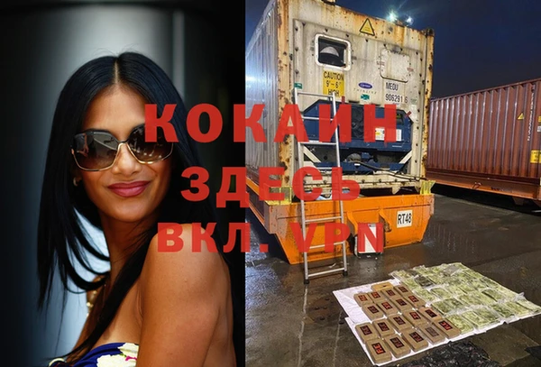 гидропоника Дмитриев