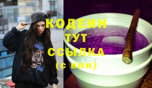 гидропоника Дмитриев