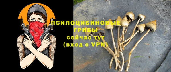 гидропоника Дмитриев