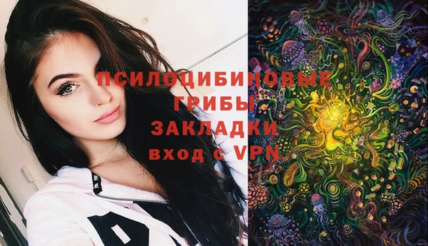 гидропоника Дмитриев